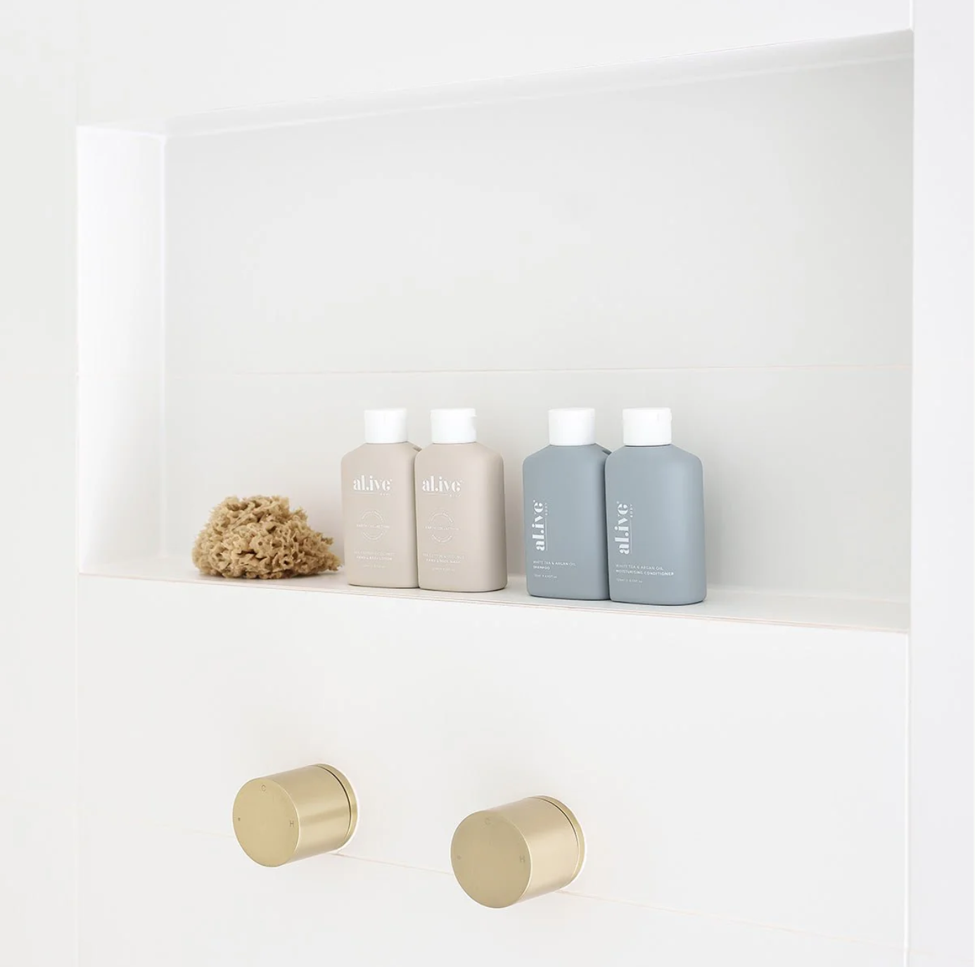 Body and Hair Travel Pack