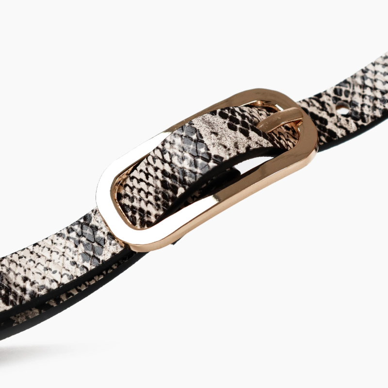 Gigi Thin Belt in Snake Skin