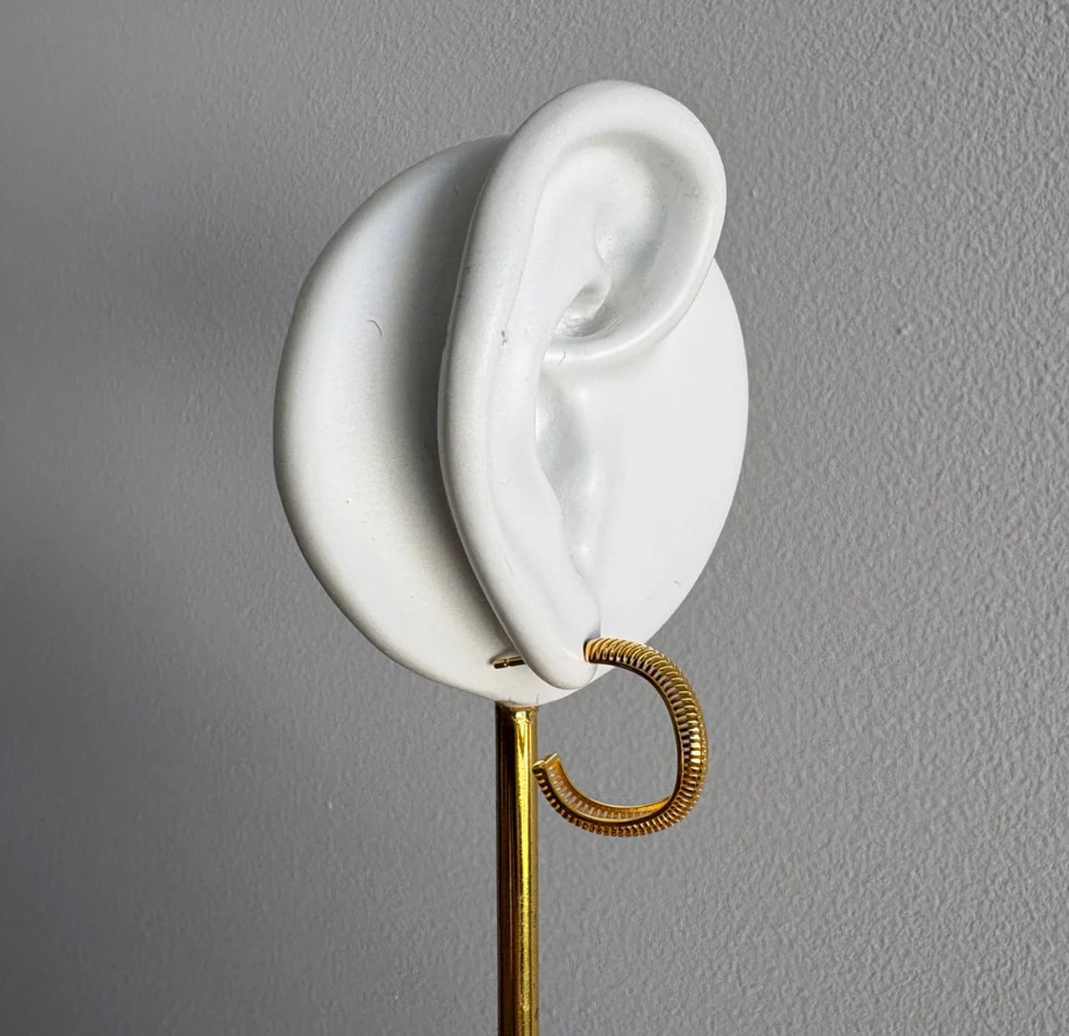 Coil Hoops Gold