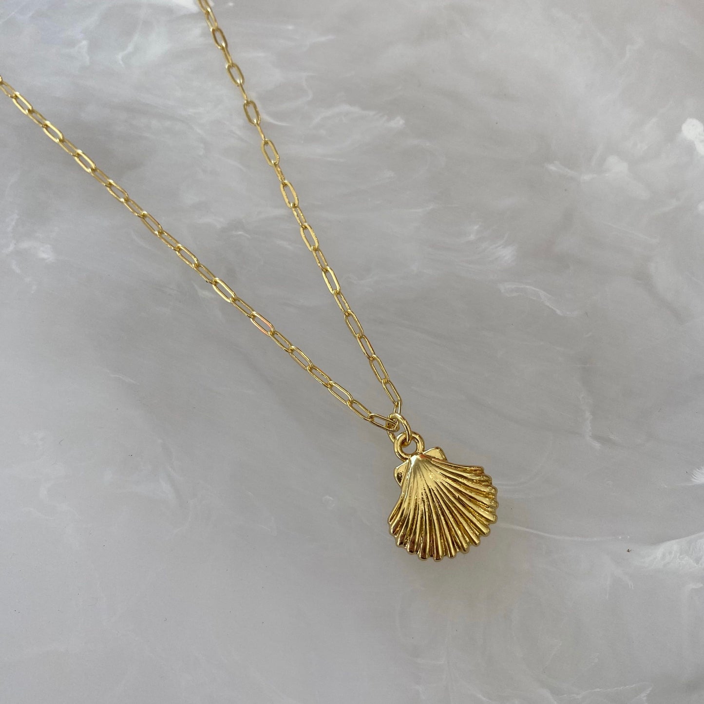 Clam Necklace - Gold