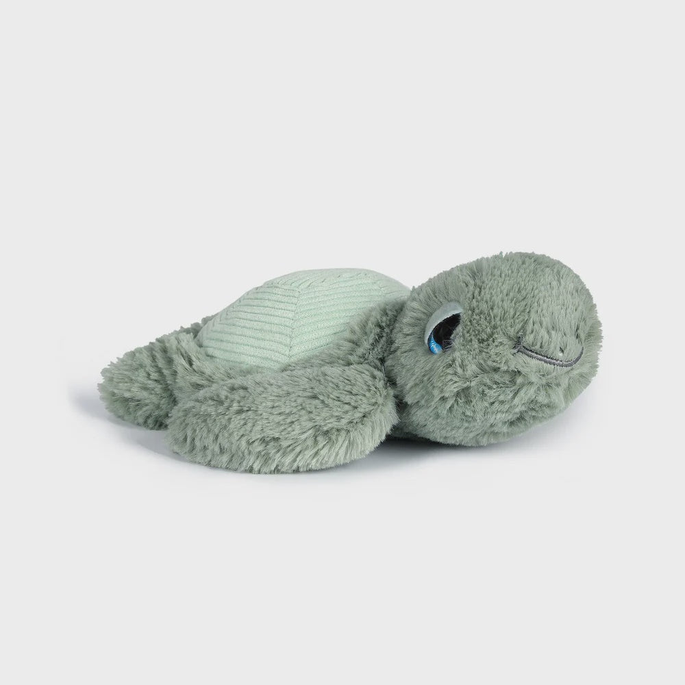 Mini Tyler Turtle Soft Toy