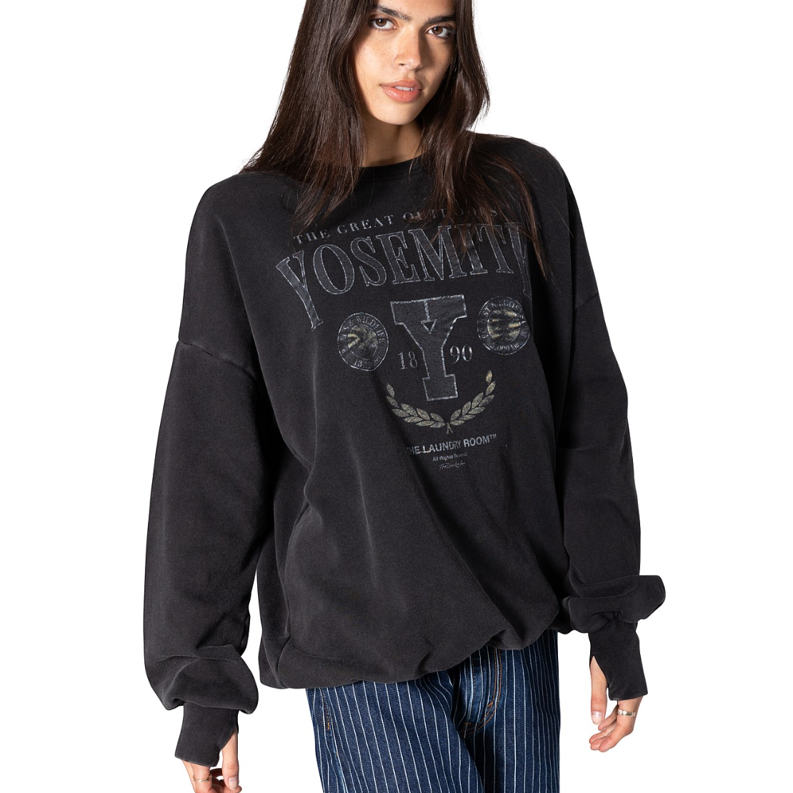 Team Yosemite Jumper