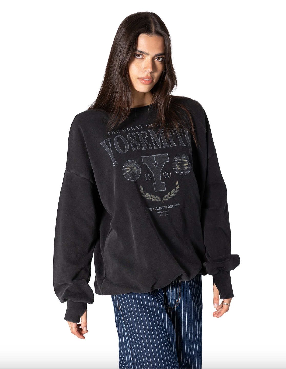 Team Yosemite Jumper