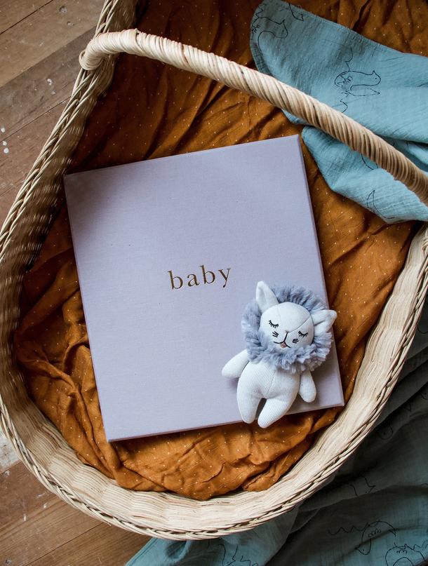 Baby Book - Your First 5 Years Grey